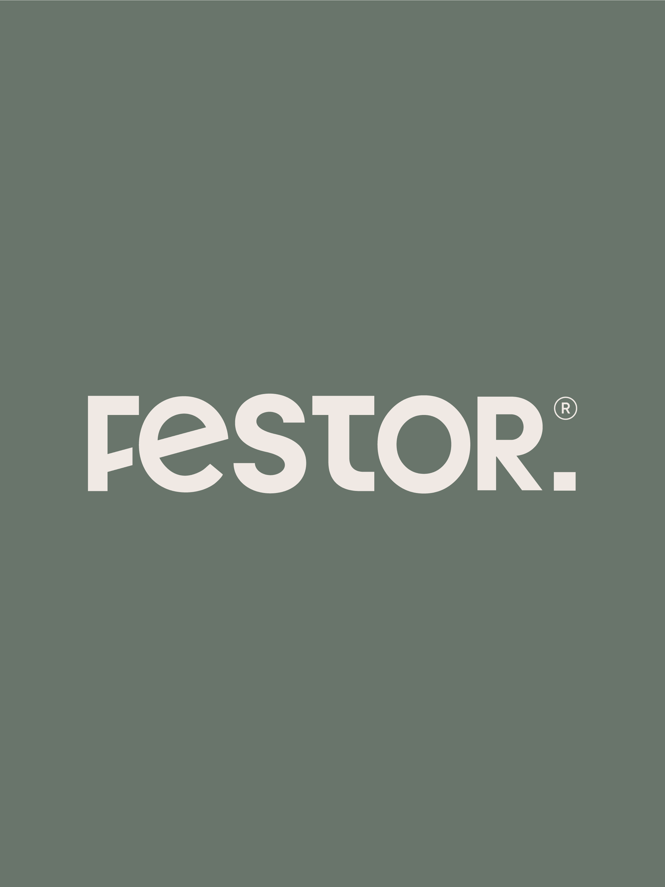 Onze aanpak - Festor