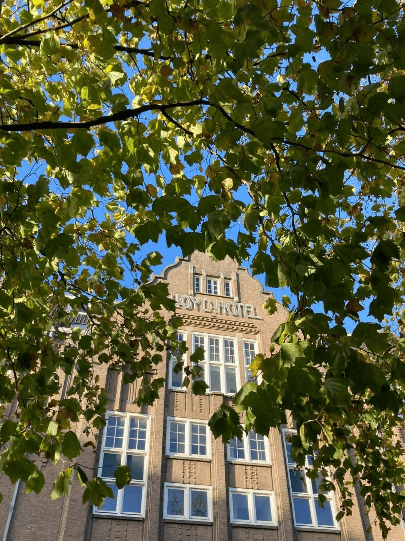 Het resultaat - Jewish Heritage Tours