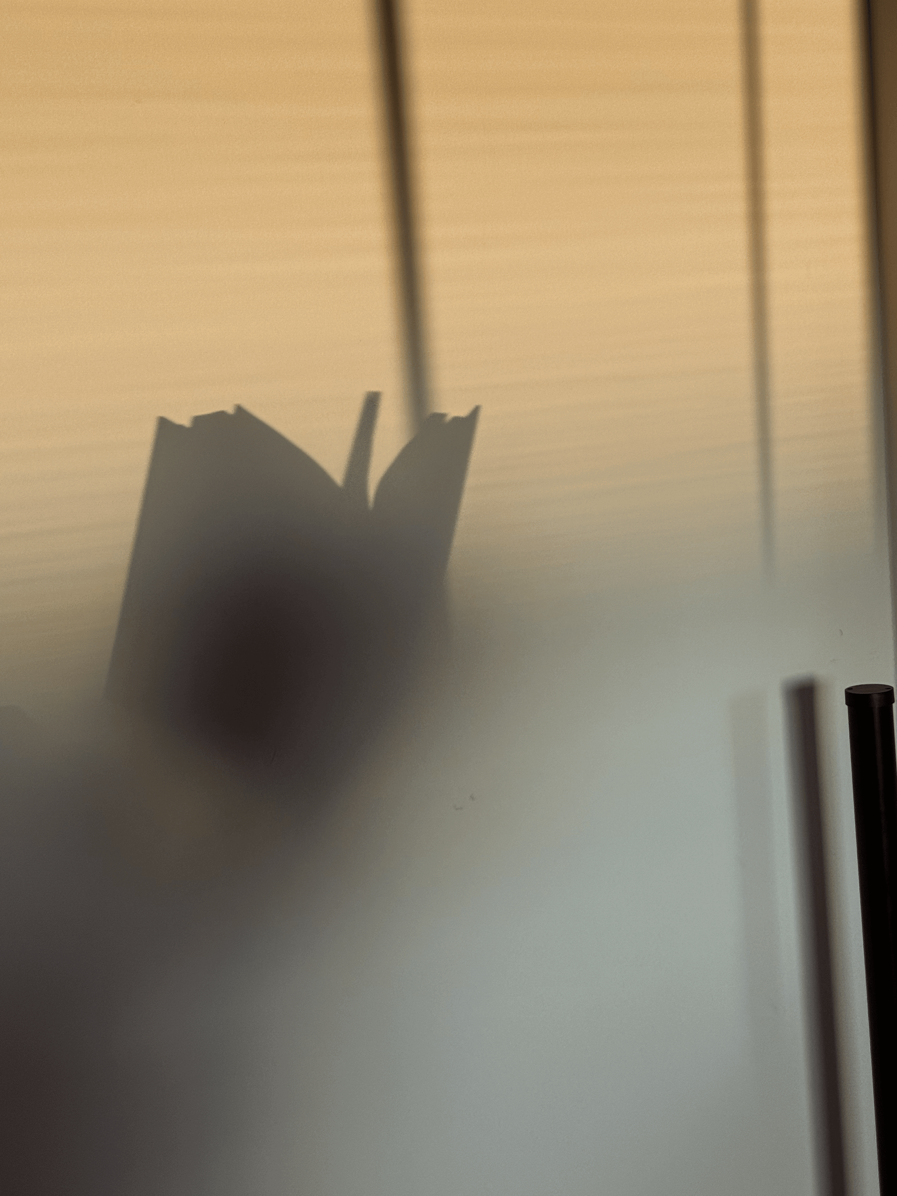 Waarom UGC ads structureel beter schalen dan brand creatives